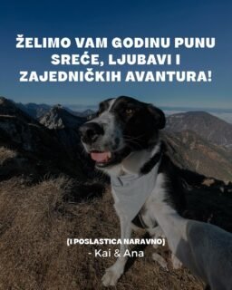 Želimo vam sve ovo i neka 2025. bude luda, vesela i puna dlaka! ☺️🥳💛

Hvala vam što ste s nama i u ovoj godini! ❤️