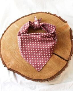 Ljuuuuubaaaav ALERT! 🥰 Od danas u ponudi uz tamno rozu bandanu sa malim srcima na webshopu možete pronaći i bijelu sa crvenim srcima, svijetlo plavu, lila i crnu s bijelim srcima, prikladno za sutrašnji dan ljubavi ❤️

Također ‘Bela’ bandana je snižena za 20% do nedjelje, a uz svaku kupljenu bandanu ubacujemo i mali znak pažnje - ‘Home’ mini print A5 formata jer ipak su dom i ljubav tamo gdje su psi 🥰

Fun fact: ‘Bela’ bandana dobila je ime po maminoj (nažalost pokojnoj) pesici koja je mamu uuuuvijek vjerno pratila u stopu - bilo da mama napravi tri koraka i sjedne na balkon, morala je za njom i paziti da je mama na sigurnom. Mislim da smo pogodili kad smo ovu bandanu nazvali po njoj, jer ne znam s čime drugime se bezuvjetna ljubav može tako usporediti kao s ljubavlju pasa prema svojim vlasnicima ❤️

A i @bella_yellowlab2022 si je izabrala bandanu baš za sebe 🥰